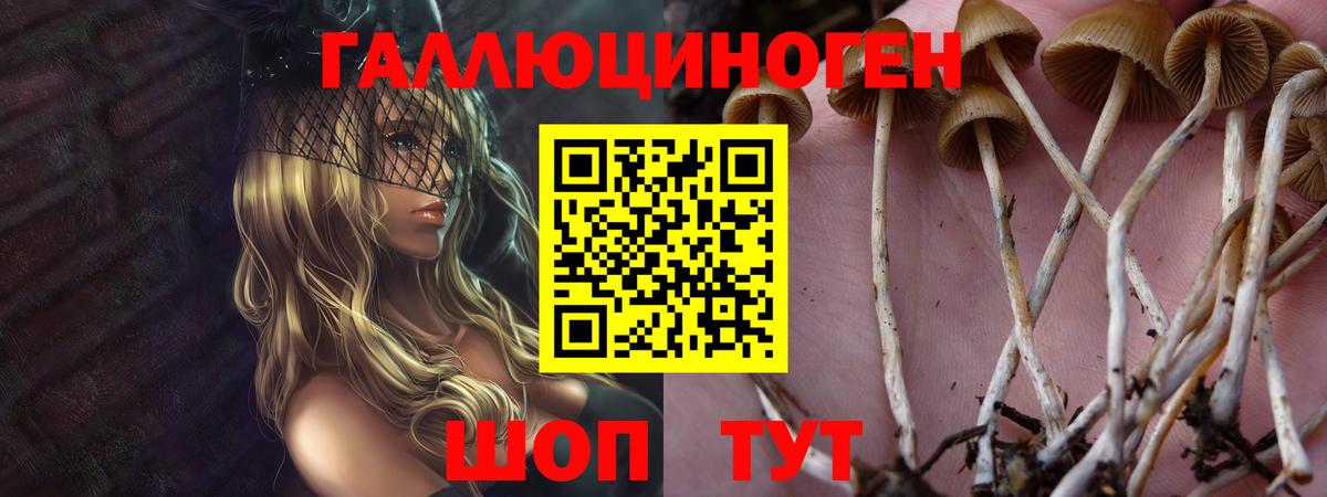 Псилоцибиновые грибы мицелий Первоуральск
