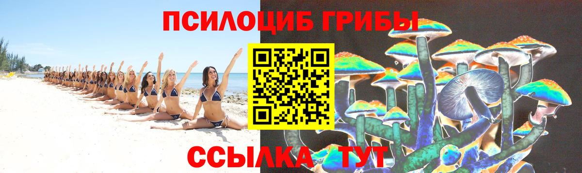 Первоуральск  Псилоцибиновые грибы Magic Shrooms  купить  цена  Вход с VPN 